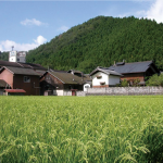 日本酒ポータルサイト「日本酒ツーリズム」に羽田酒造有限会社を掲載しました。